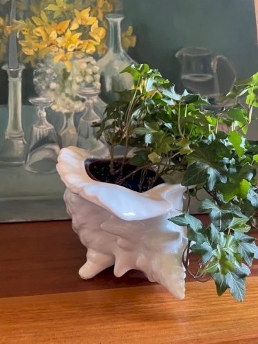 Grand vide poche ou cache pot coquillage vintage