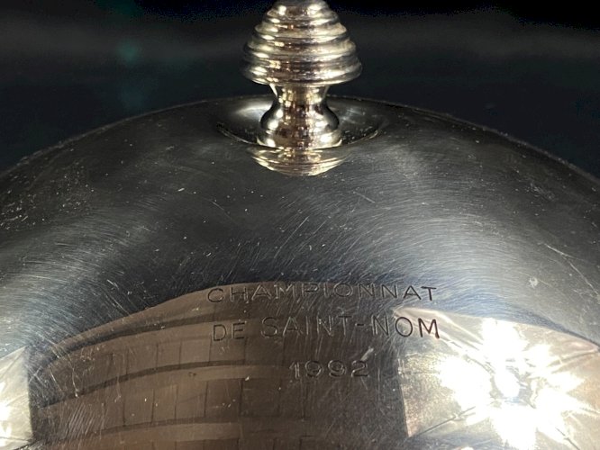 Grande cloche de service couvre-plat individuel en métal argenté