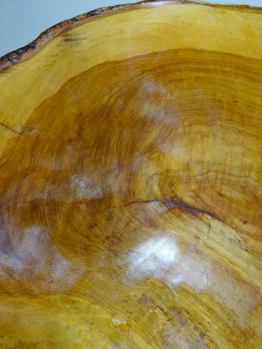 Grande coupe en bois d'olivier Riviera brutaliste artisanat circa 1950