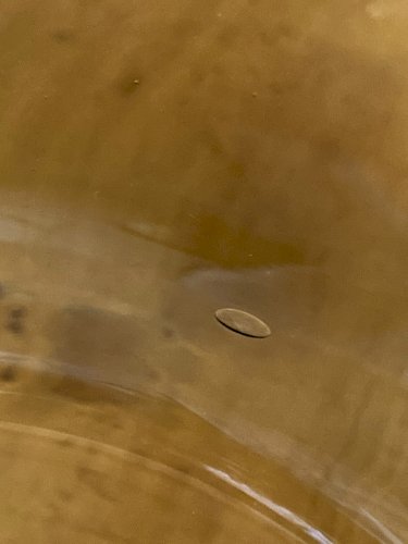 Grande coupe en verre soufflé teinté vert mousse