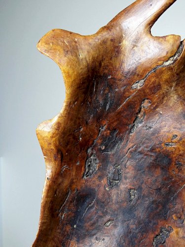 Grande coupe monoxyle en bois brut dolivier foncé années 50