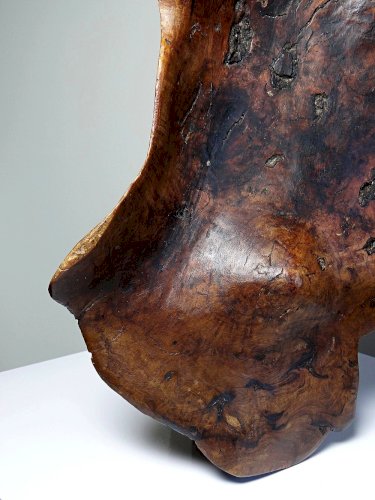 Grande coupe monoxyle en bois brut dolivier foncé années 50
