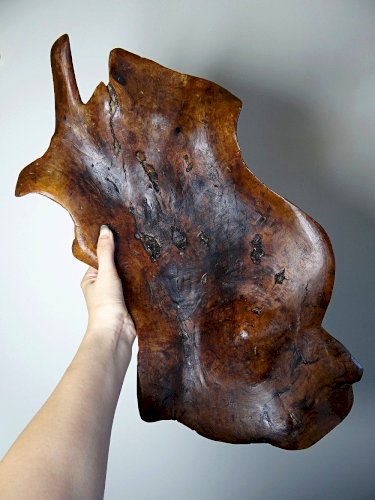 Grande coupe monoxyle en bois brut dolivier foncé années 50