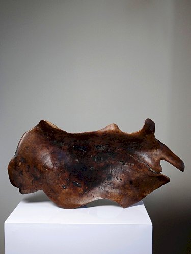 Grande coupe monoxyle en bois brut dolivier foncé années 50