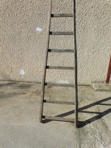 GRANDE ECHELLE DE CUEILLETTE EN BOIS ANCIENNE