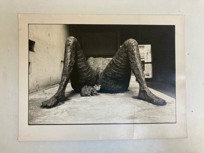 Grande Originale Photographie Olivier De Bouchony 1977 Photographie Art Chat XXe