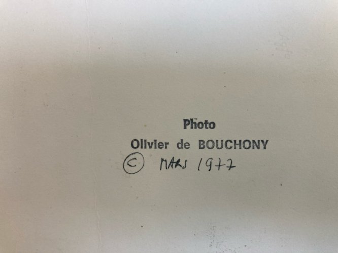 Grande Originale Photographie Olivier De Bouchony 1977 Photographie Art Chat XXe