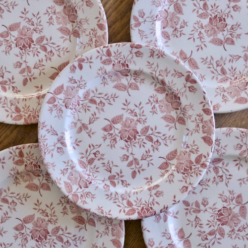 Grandes assiettes EIT England décor petites roses