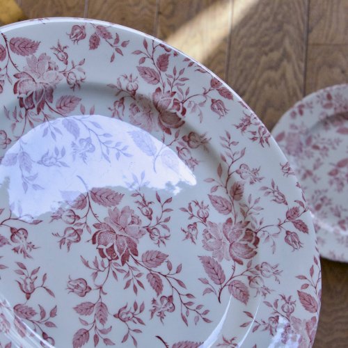 Grandes assiettes EIT England décor petites roses