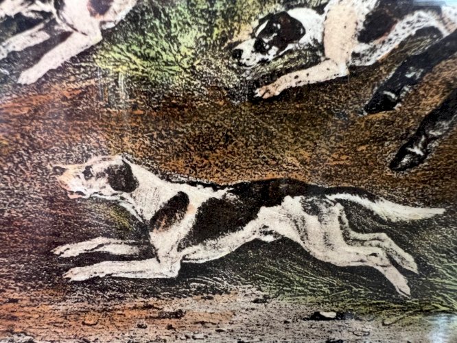 Gravure 1815 – T. Goosey, piqueur des Belvoir Hounds – signée Davis – Chasse