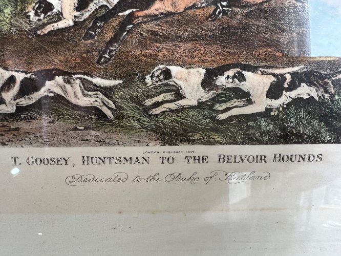 Gravure 1815 – T. Goosey, piqueur des Belvoir Hounds – signée Davis – Chasse