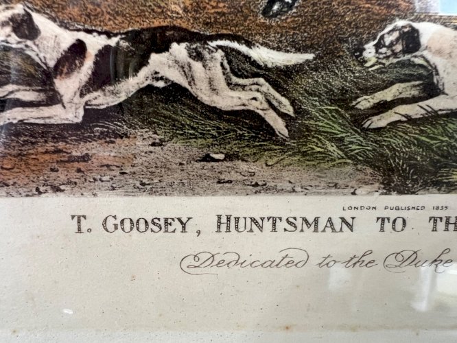 Gravure 1815 – T. Goosey, piqueur des Belvoir Hounds – signée Davis – Chasse