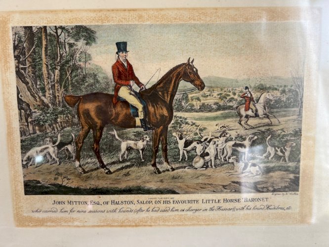 Gravure 1837 John Mytton à cheval chasse à courre anglaise signée W. Giller