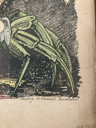 Gravure 1886 La Comédie Bordelaise Journal Hebdomadaire Ange Docteur