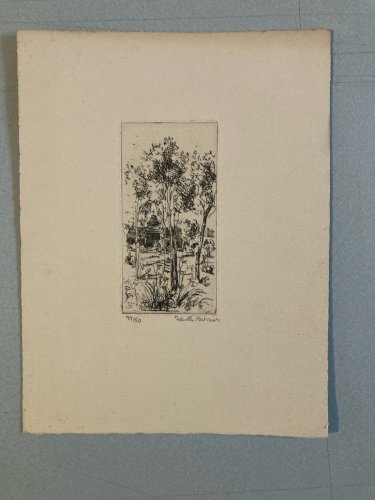 Gravure 1950 Paysage Arbre Foret Art Lithographie Estampe Jean Eugène BERSIER
