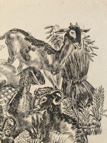 gravure A Identifier 1980 Animal Chèvre Ancien Old Burin Estampe Etching Art XXe
