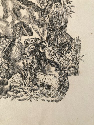 gravure A Identifier 1980 Animal Chèvre Ancien Old Burin Estampe Etching Art XXe
