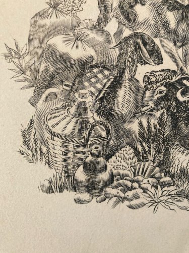 gravure A Identifier 1980 Animal Chèvre Ancien Old Burin Estampe Etching Art XXe