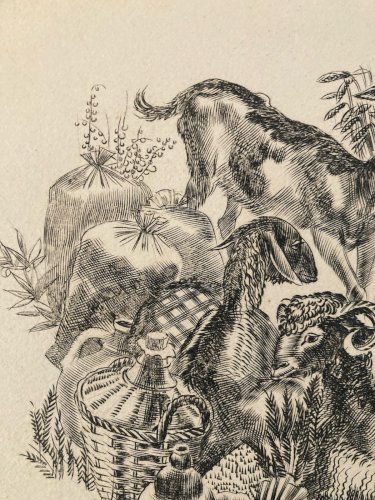 gravure A Identifier 1980 Animal Chèvre Ancien Old Burin Estampe Etching Art XXe