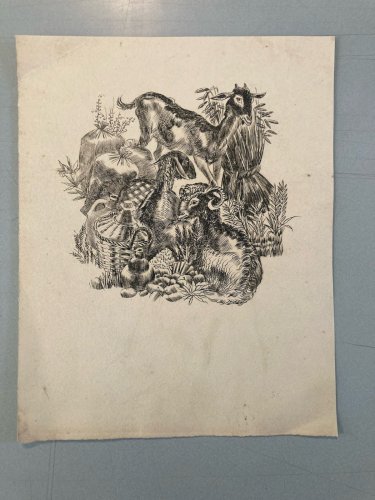 gravure A Identifier 1980 Animal Chèvre Ancien Old Burin Estampe Etching Art XXe