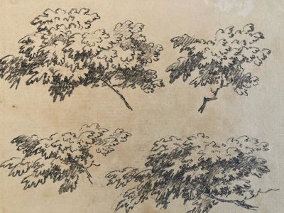 Gravure Arbre Art 1850 Feuille Lithographie XIXe Portrait Richelieu