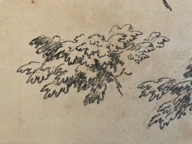 Gravure Arbre Art 1850 Feuille Lithographie XIXe Portrait Richelieu