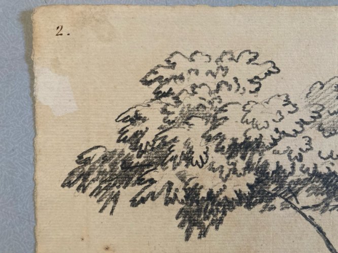 Gravure Arbre Art 1850 Feuille Lithographie XIXe Portrait Richelieu