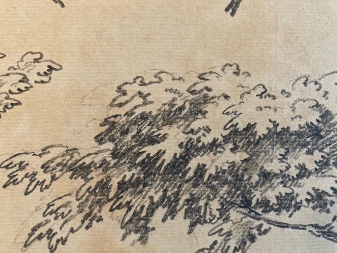 Gravure Arbre Art 1850 Feuille Lithographie XIXe Portrait Richelieu