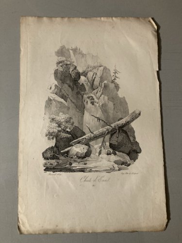 Gravure Arbre Art Tronc Delpech Remond 1829 Lithographie Chute D’eau