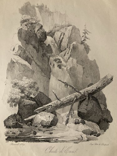 Gravure Arbre Art Tronc Delpech Remond 1829 Lithographie Chute D’eau