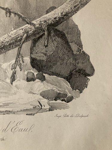 Gravure Arbre Art Tronc Delpech Remond 1829 Lithographie Chute D’eau