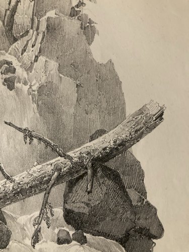 Gravure Arbre Art Tronc Delpech Remond 1829 Lithographie Chute D’eau