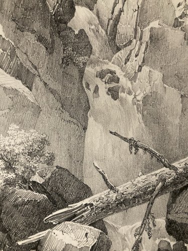 Gravure Arbre Art Tronc Delpech Remond 1829 Lithographie Chute D’eau