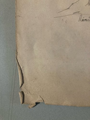 Gravure Arbre Art Tronc Delpech Remond 1829 Lithographie Palmier XIXe