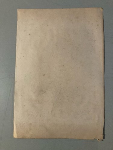 Gravure Arbre Art Tronc Delpech Remond 1829 Lithographie Palmier XIXe