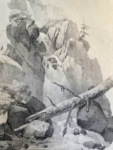 Gravure Arbre Chute Eau Tronc Delpech Remond 1829 Lithographie Ancien