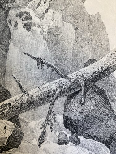 Gravure Arbre Chute Eau Tronc Delpech Remond 1829 Lithographie Ancien
