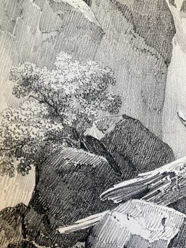 Gravure Arbre Chute Eau Tronc Delpech Remond 1829 Lithographie Ancien