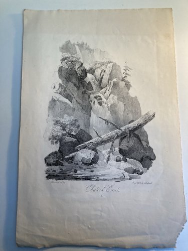 Gravure Arbre Chute Eau Tronc Delpech Remond 1829 Lithographie Ancien