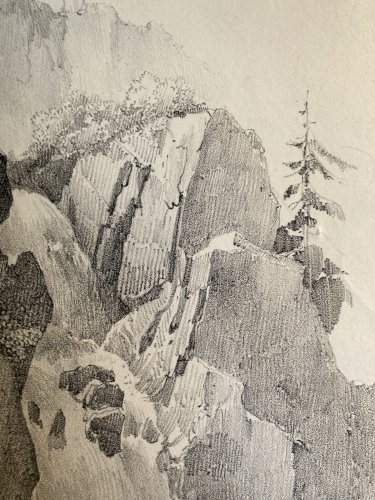 Gravure Arbre Chute Eau Tronc Delpech Remond 1829 Lithographie Ancien