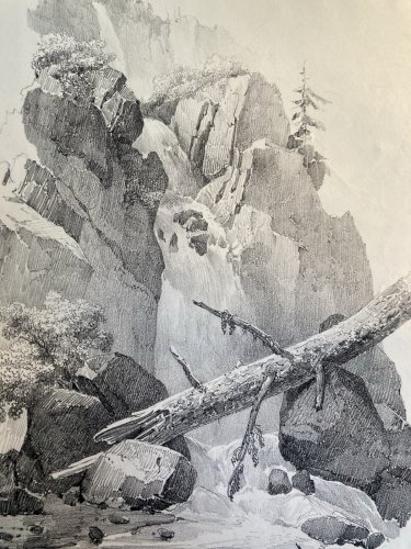 Gravure Arbre Chute Eau Tronc Delpech Remond 1829 Lithographie Ancien