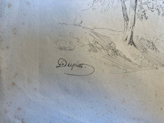 Gravure Arbre Feuillage Feuille Duplat Orme Art Ancien Lithographie