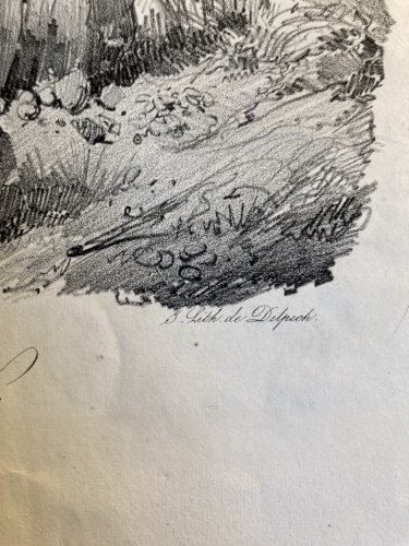 Gravure Arbre Olivier Tronc Delpech Remond 1829 Lithographie Ancien