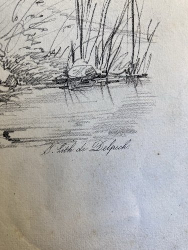 Gravure Arbre Platane Tronc Delpech Remond 1829 Lithographie Ancien