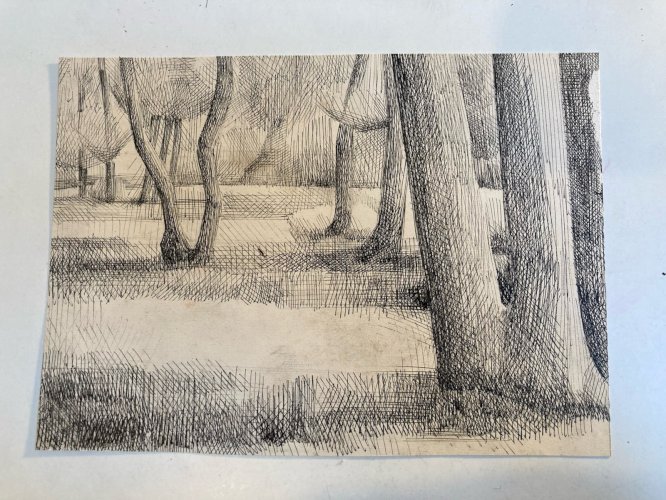 Gravure Eau Forte 1950 Paysage Arbre Foret Art Lithographie Estampe Art Ancien