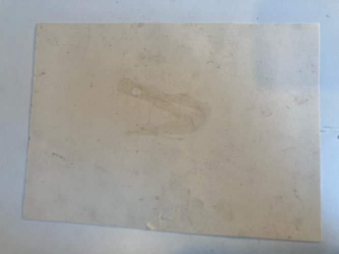 Gravure Eau Forte 1950 Paysage Arbre Foret Art Lithographie Estampe Art Ancien