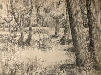 Engraving Aquatint 1950 Landscape Tree Forest Art Lithography Print Art