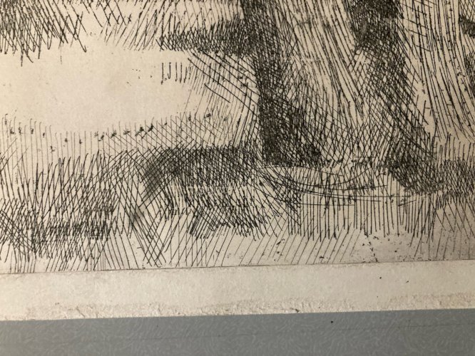 Gravure Eau Forte 1950 Paysage Arbre Foret Art Lithographie Estampe Art