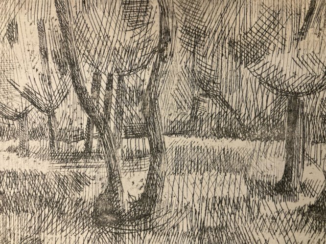 Gravure Eau Forte 1950 Paysage Arbre Foret Art Lithographie Estampe Art