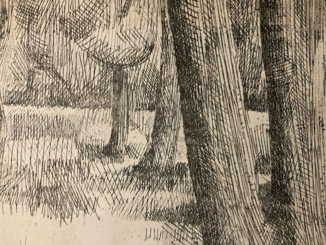 Gravure Eau Forte 1950 Paysage Arbre Foret Art Lithographie Estampe Art